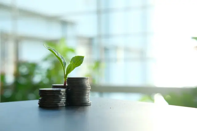 A young plant growing from a stack of coins